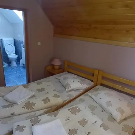 Sóhegy Panzió *